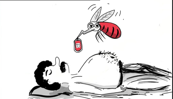 নারায়ণগঞ্জে ৯জন ডেঙ্গু আক্রান্ত