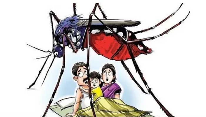 নারায়ণগঞ্জে আরও ৬ জন ডেঙ্গু আক্রান্ত