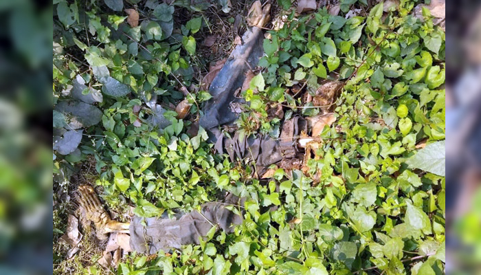 সোনারগাঁয়ে ডোবার পাশ থেকে কিশোরের কঙ্কাল উদ্ধার