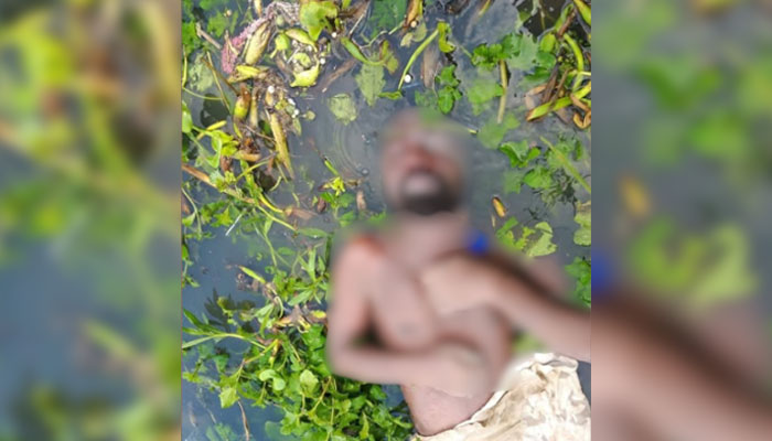 ছবি