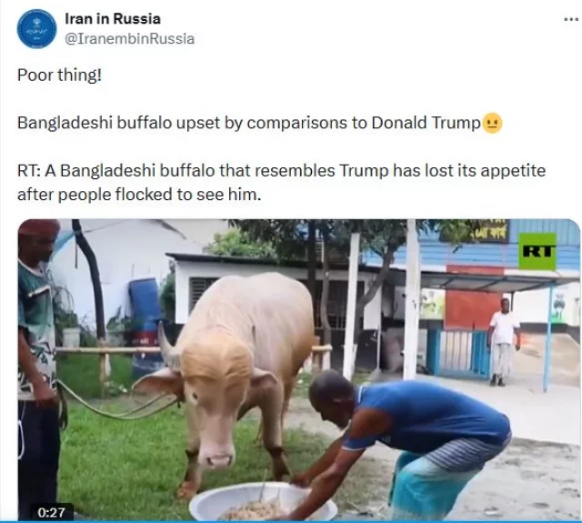 ছবি