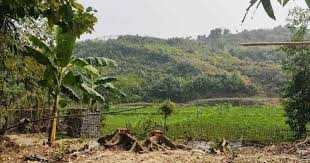 বান্দরবানে মর্টার শেল বিস্ফোরণে শিশু নিহত